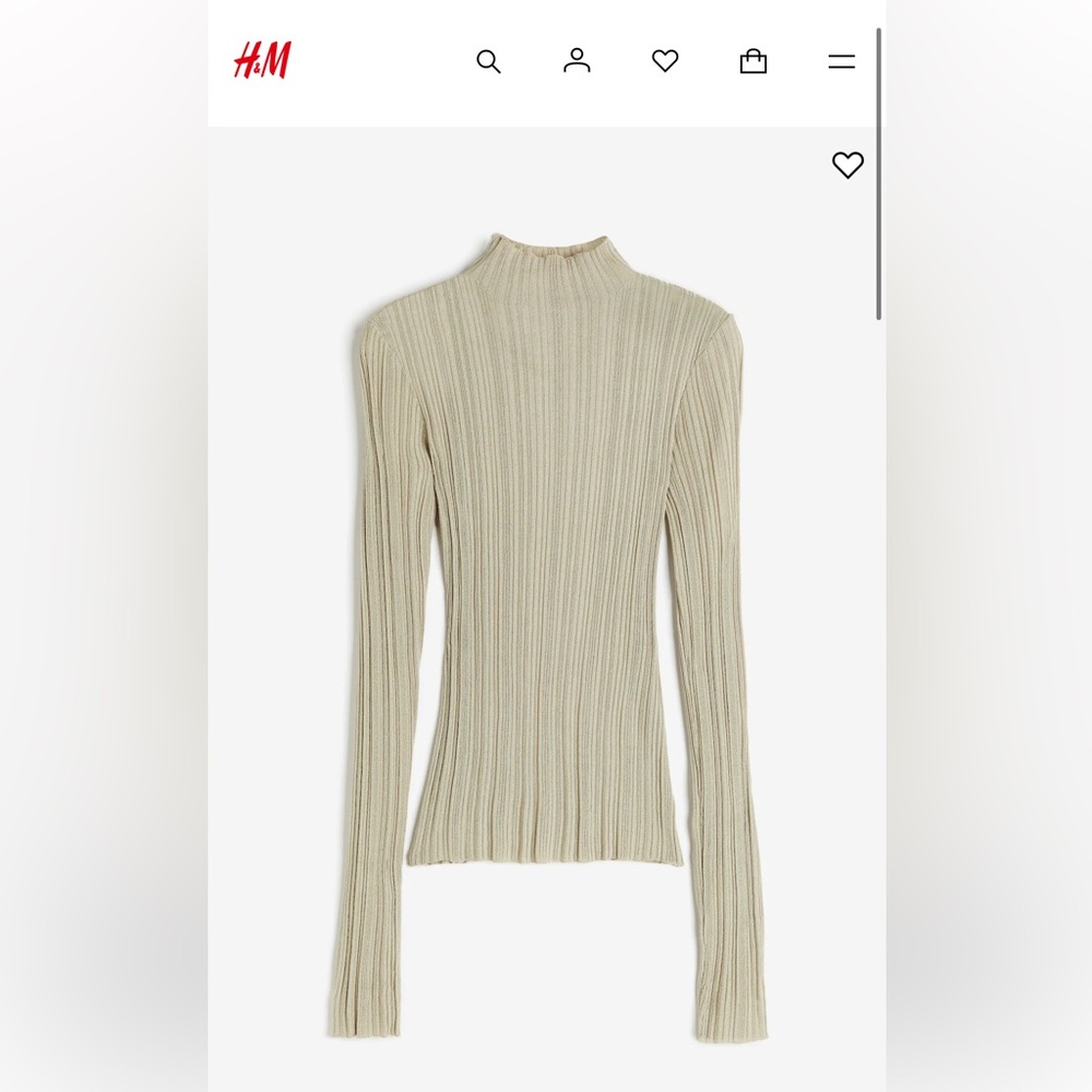 H&M Rib Knit Mock Neck Turtleneck